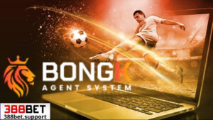 Giới thiệu sảnh cá cược thể thao bongk