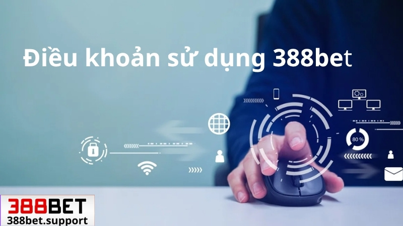 tổng quan về điều khoản sử dụng 388bet
